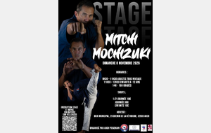 Stage avec Mitchi Mochizucki le 8 novembre 2026 à Auch!