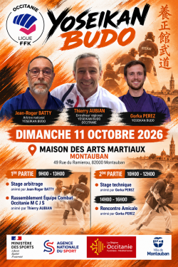 Stage arbitre et technique - Montauban